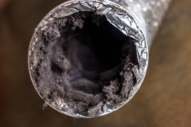 Best Residential Air Duct Cleaning  in Bexley, OH
