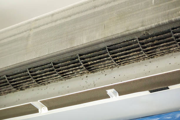Best Best Air Duct Cleaning Company  in Bexley, OH
